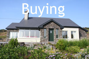 Buying a house 